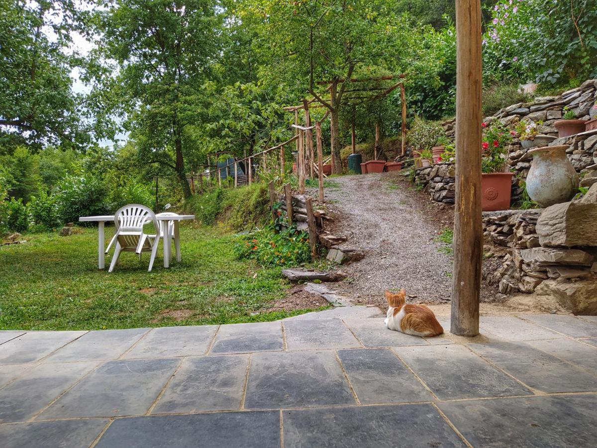B&B Stefano Neirone Kültér fotó